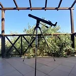 Alexis New クリッシ・アモウディア